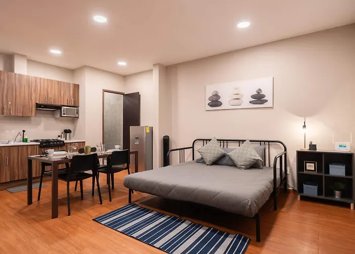 307 Spacious Ac Historic Cdmx Rooftop *